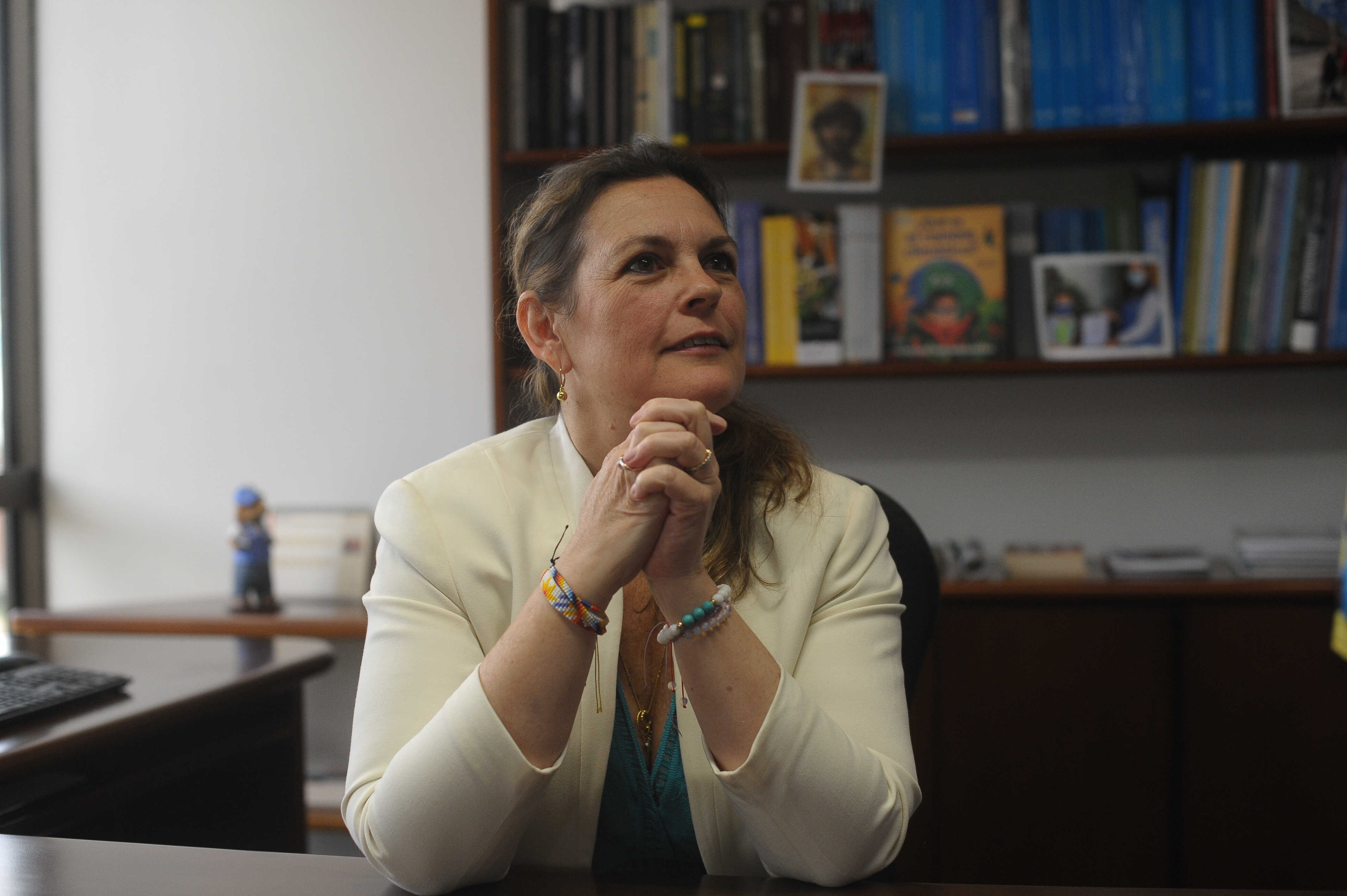 Representante en Colombia del Alto Comisionado de la ONU para los Derechos Humanos