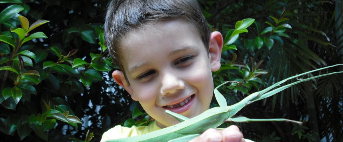 Concurso busca a los estudiantes más saben de biodiversidad
