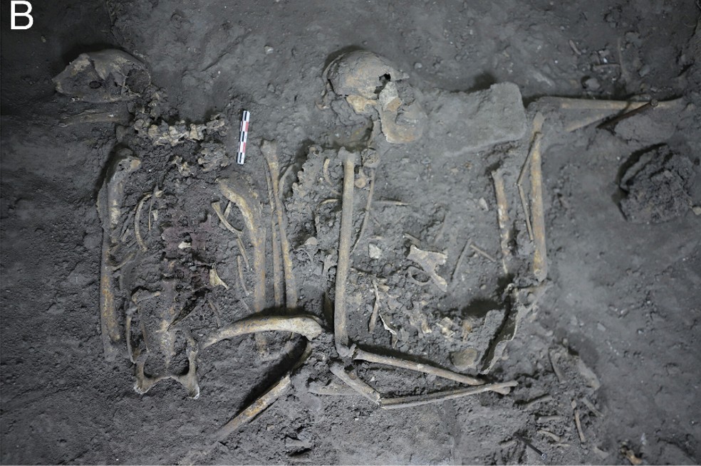 Los antiguos mayas le regalaban a sus vecinos monos araña. ¿Por qué?