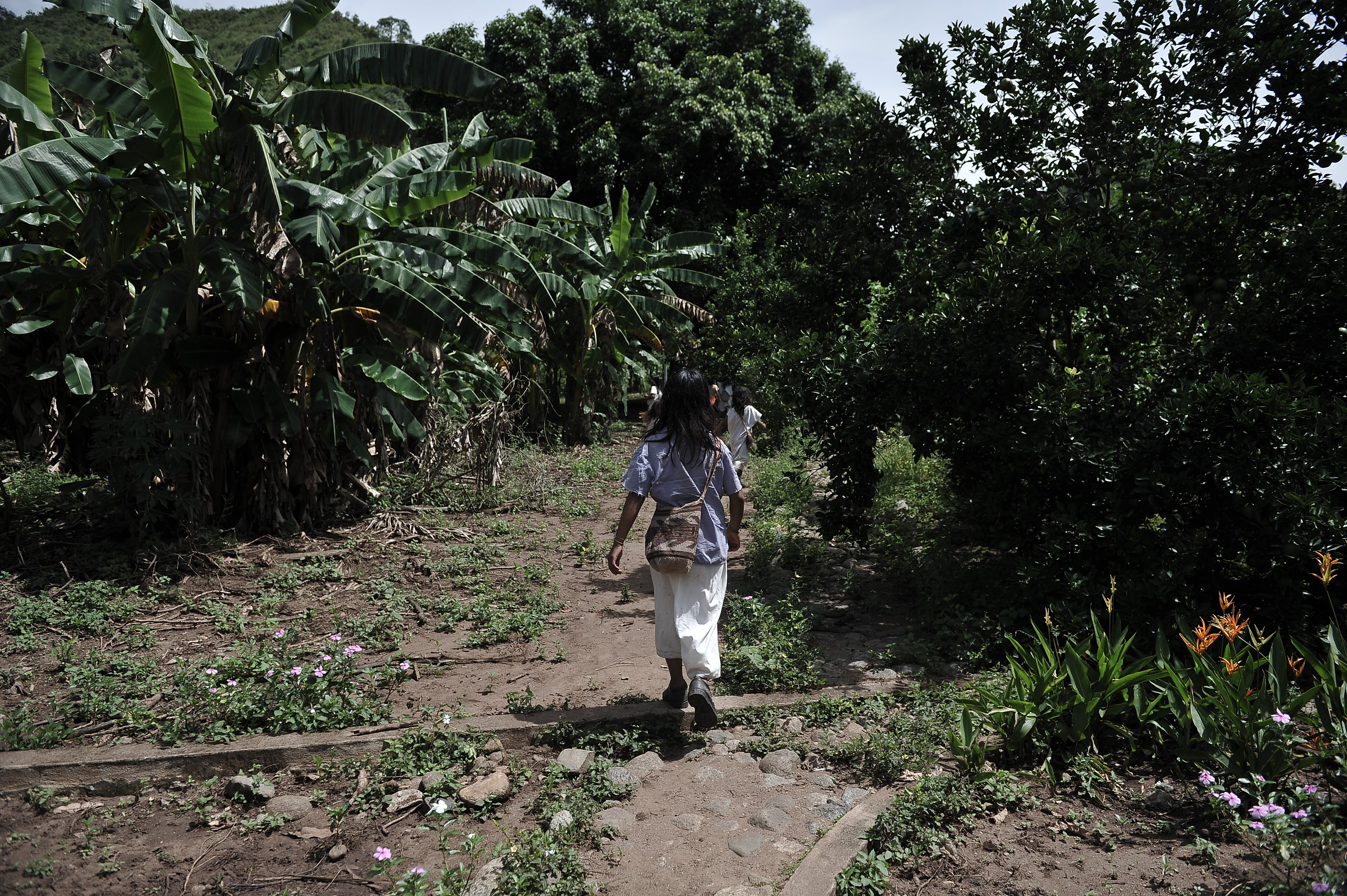 Comunidad Indígena de La Sierra Nevada de Santa Marta, utiliza paneles solares.