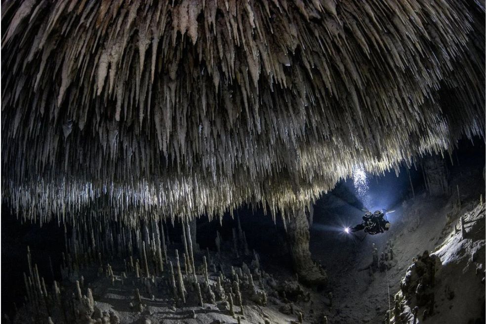 Fotografía ganadora de la categoría Paisajes, paisajes acuáticos y flora. El fotógrafo la capturó en uno de los sistemas de cuevas de la Riviera Maya.