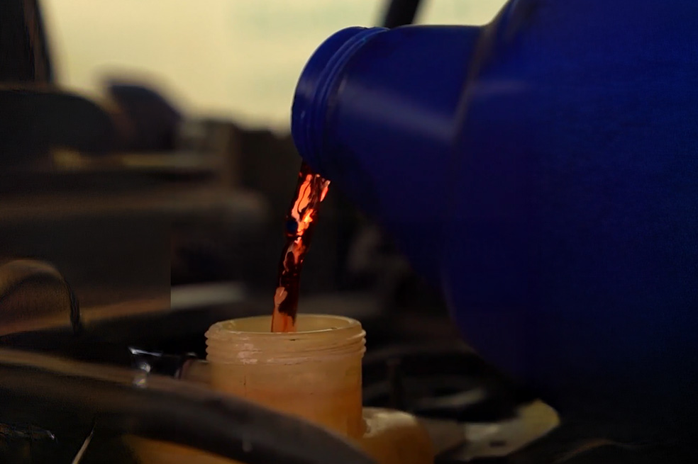 Oilfilters y Green Pass: innovación sostenible en movimiento