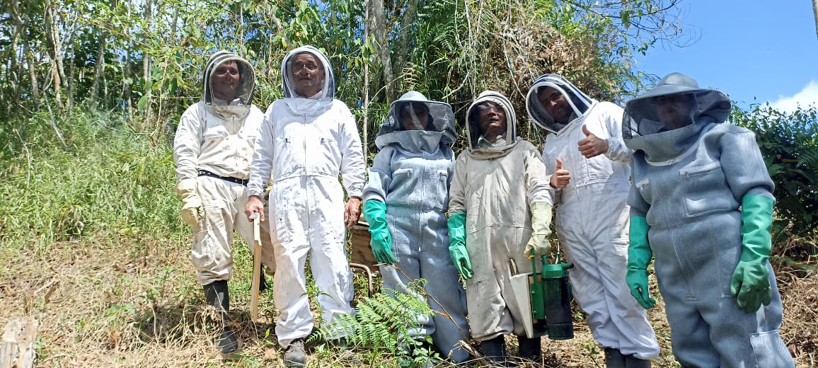 Así es como la apicultura está impulsando la conservación de la Sierra Nevada de Santa Marta.