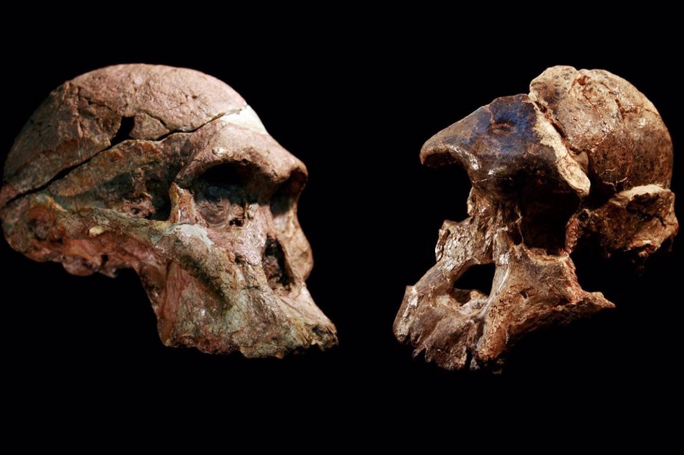 Lucy, la abuela de la humanidad, podía mantenerse erguida hace 3,2 millones de años
