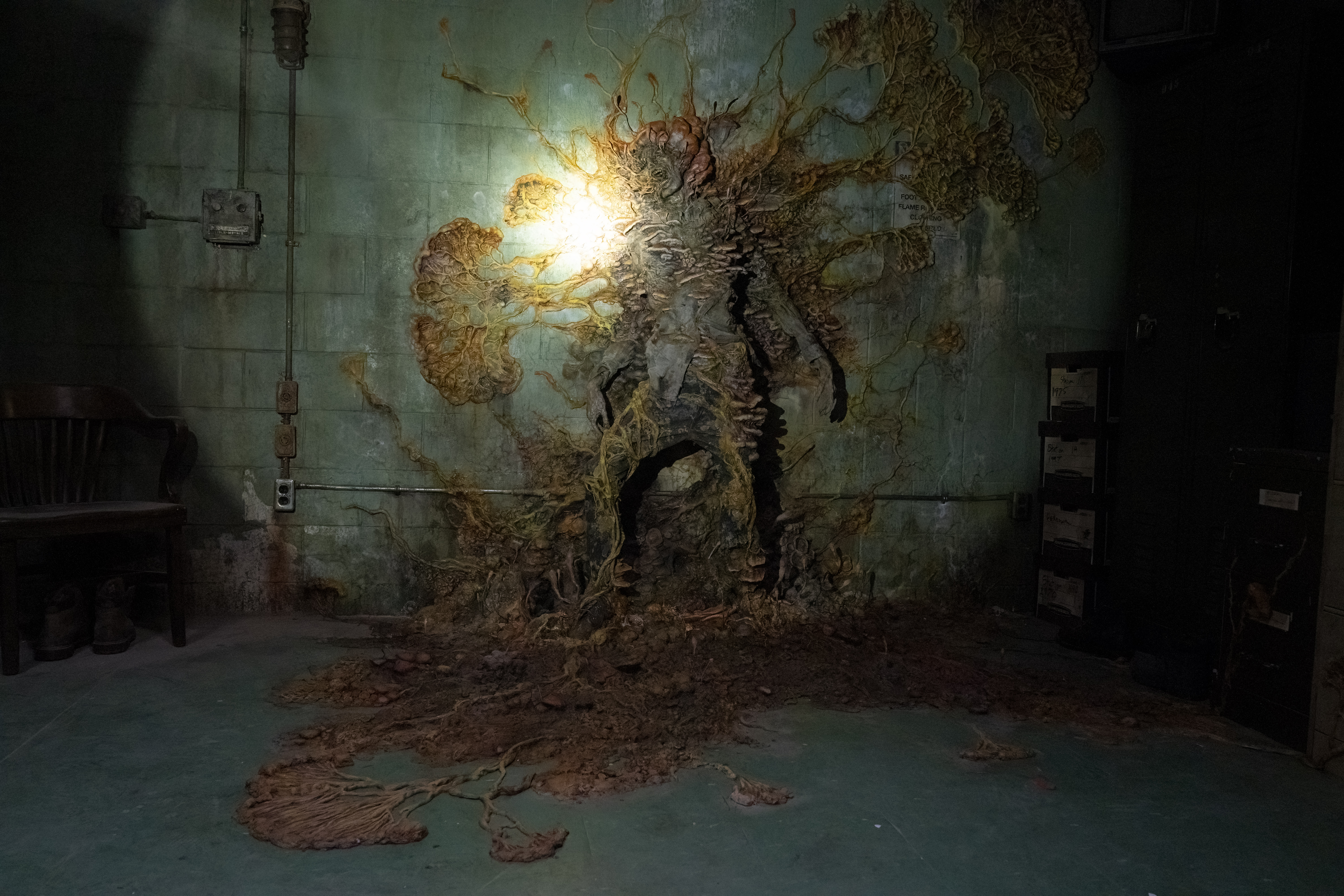 “The Last of Us”: explicación del segundo capítulo y el origen del virus
