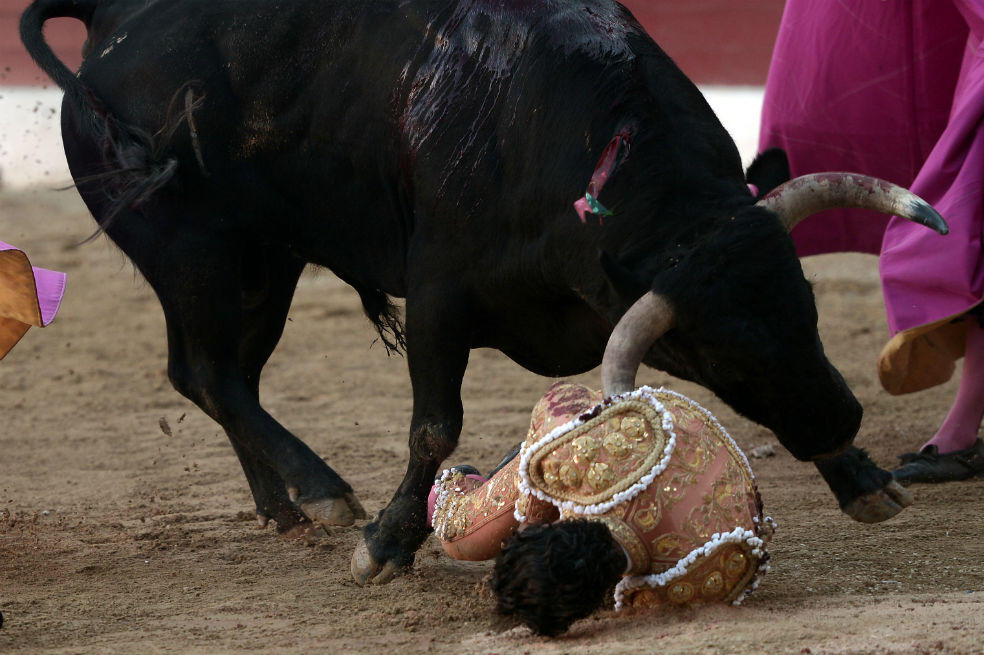 Falleció el torero español Iván Fandiño tras recibir una cornada