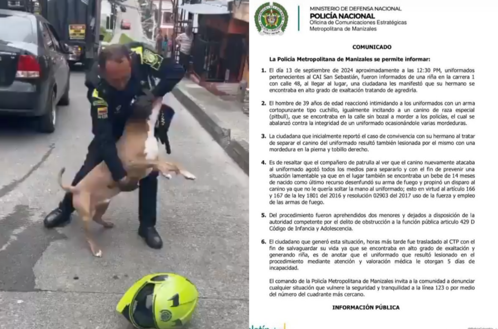 Riña en Manizales termina con disparo a un perro pitbull: ¿qué dice la policía?