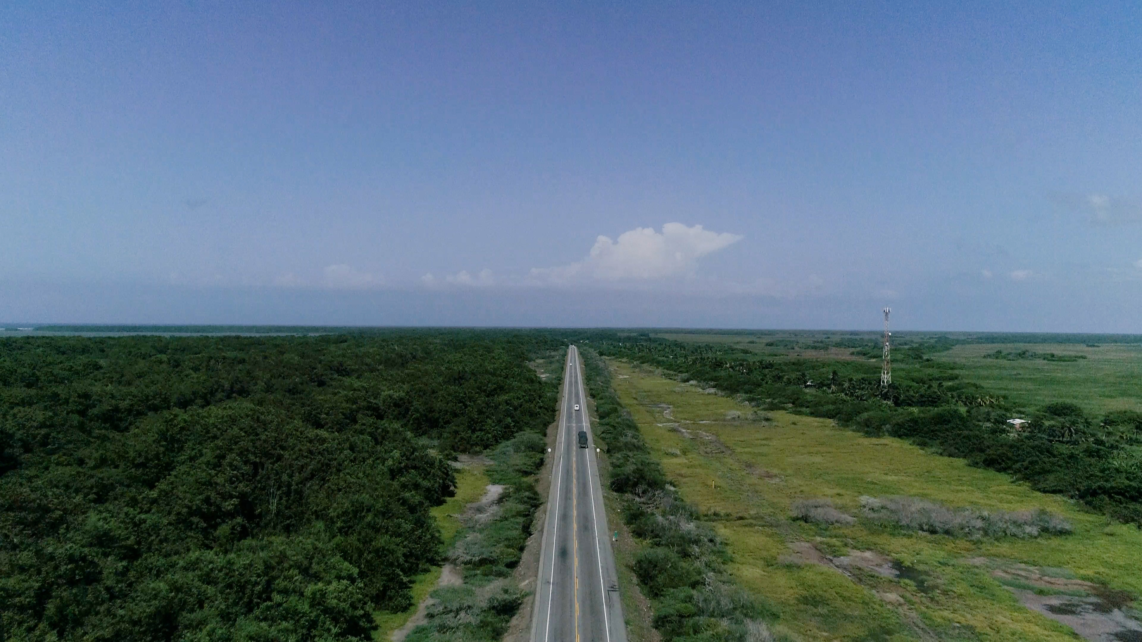 Carreteras y ferrocarriles planificados impactarán el hábitat de 2.500 especies