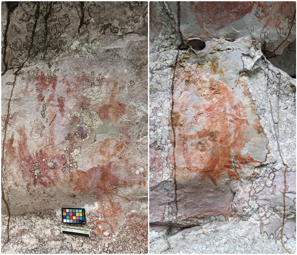 Los líquenes son uno de los organismos que "tapan" las pinturas en La Lindosa. La imagen del lado derecho ya está libre de ellos.