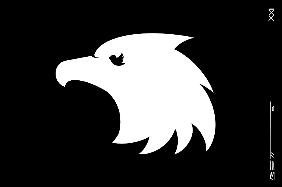 Cetrería electoral