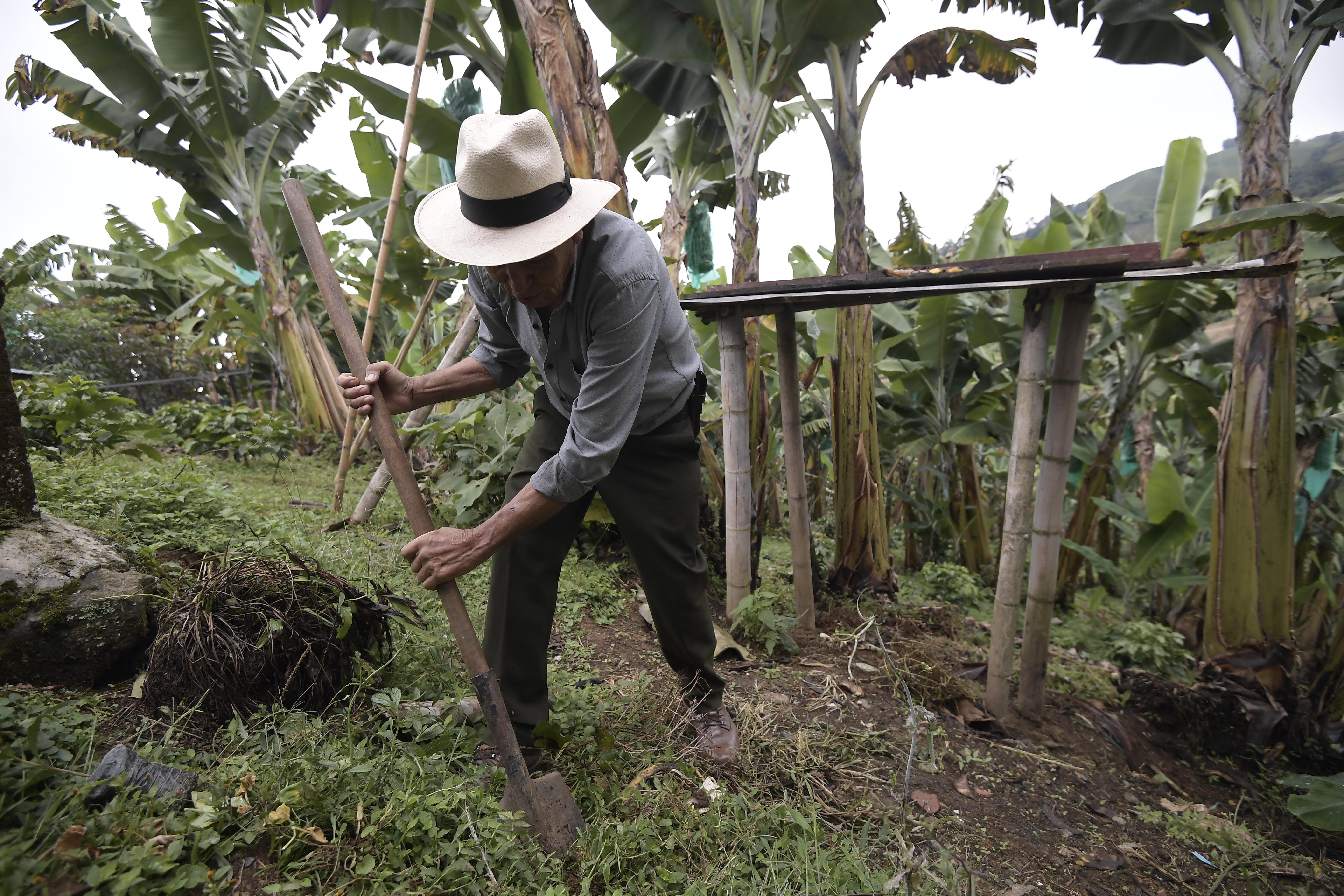 Abren inscripción para programa de estímulos económicos para productores rurales