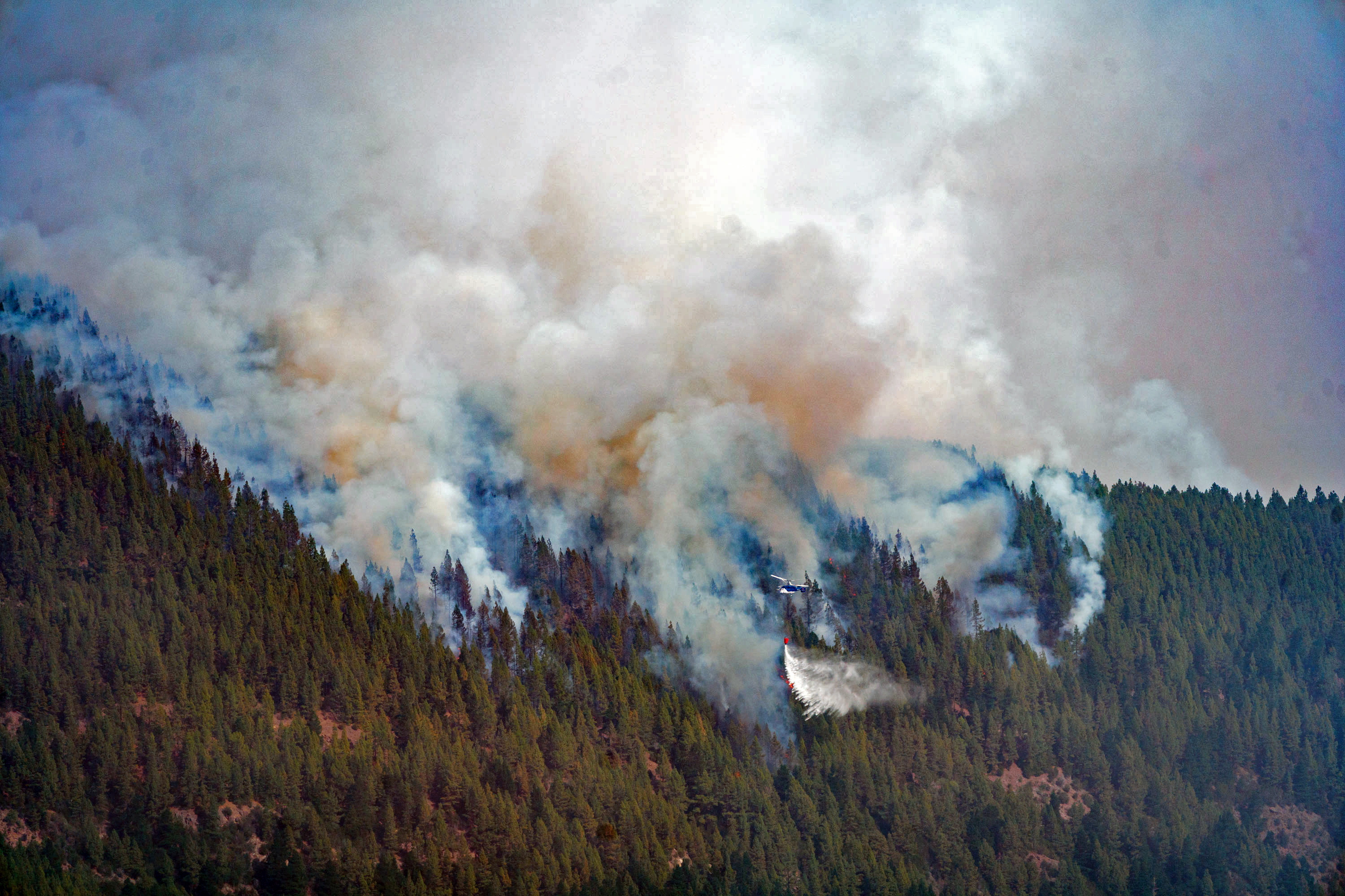 Arde España: casi 100.000 hectáreas calcinadas en solo dos semanas