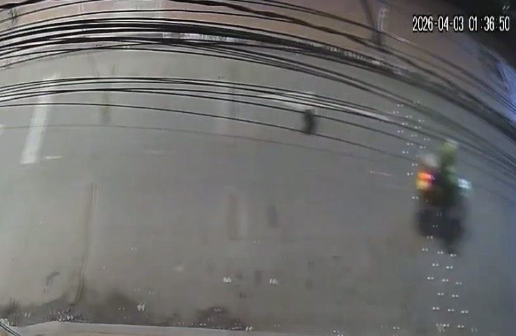 En video: Policía atropelló a una perrita en Bosa y siguió de largo sin ayudar al animal