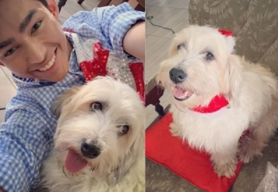 Murió Curly, perrito de Fernanfloo que lo acompaño por 14 años