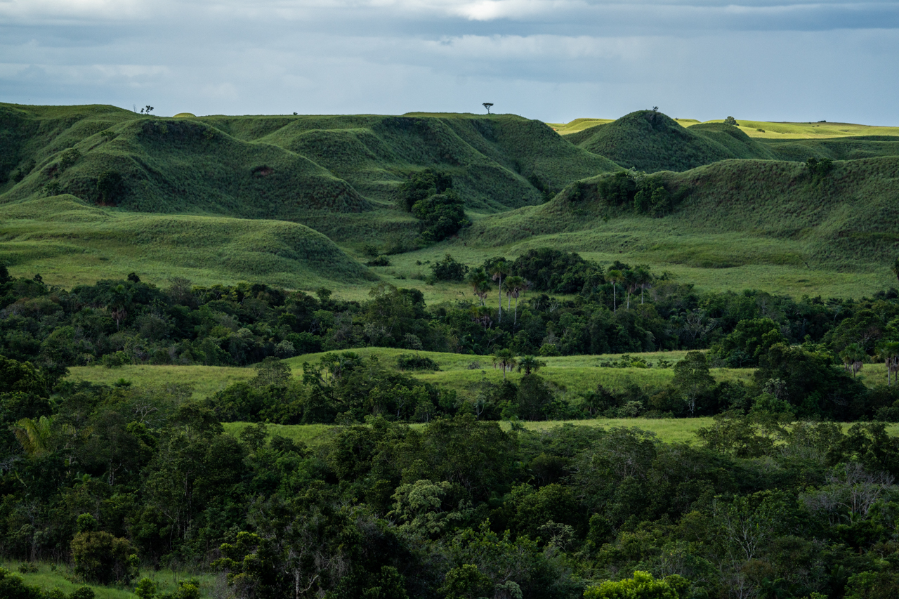 La Serranía de Manacacías está ubicada en el departamento del Meta, llanos orientales de Colombia