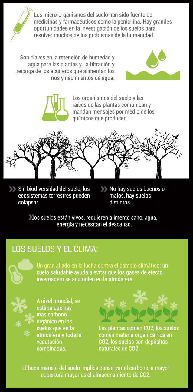 Día Mundial del Suelo 2020
