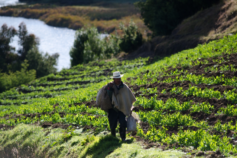Cuestionan balance positivo de solicitudes de restitución tierras en el país