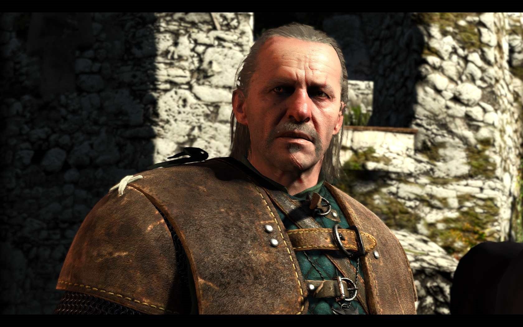 La escueta descripción adelanta no sólo que el protagonista será el maestro de Geralt, sino también su posible situación temporal y que la historia será original y no dependerá de la saga literaria de Andrej Sapkowski. Y es que el Vesemir que protagonizará la serie será un joven brujo y no el veterano tutor que entrenó al Carnicero de Blaviken.