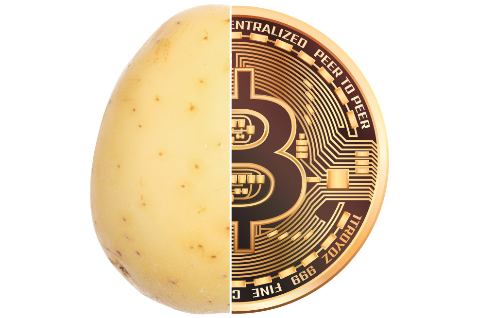 ¿Criptomonedas (tokens) de papas criollas colombianas?