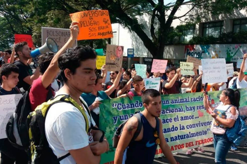 Caleños protestaron frente al consulado de Brasil por los incendios del Amazonas