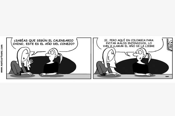 El año del conejo
