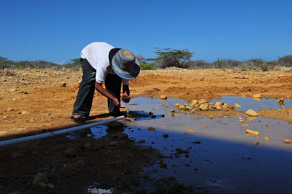Se crea la Alianza Nacional por los Suelos del país 