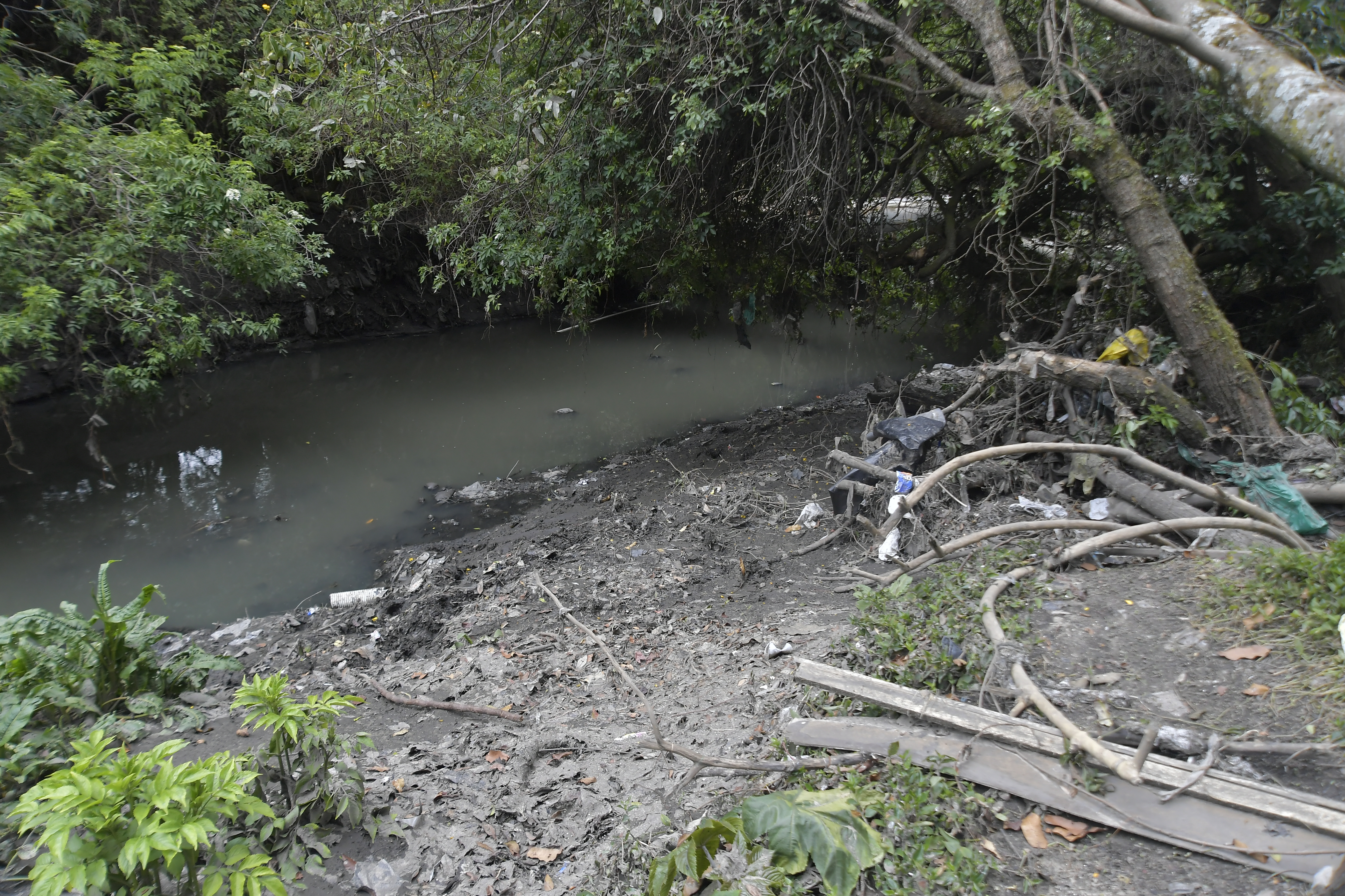 Recorrido por este humedal ubicado en la localidad de Suba.