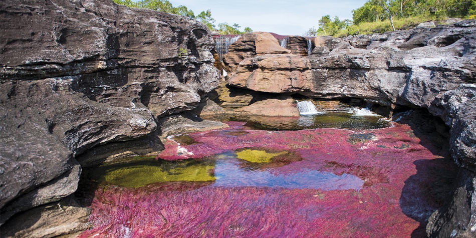 Caño Cristales, un paraíso muy cercano