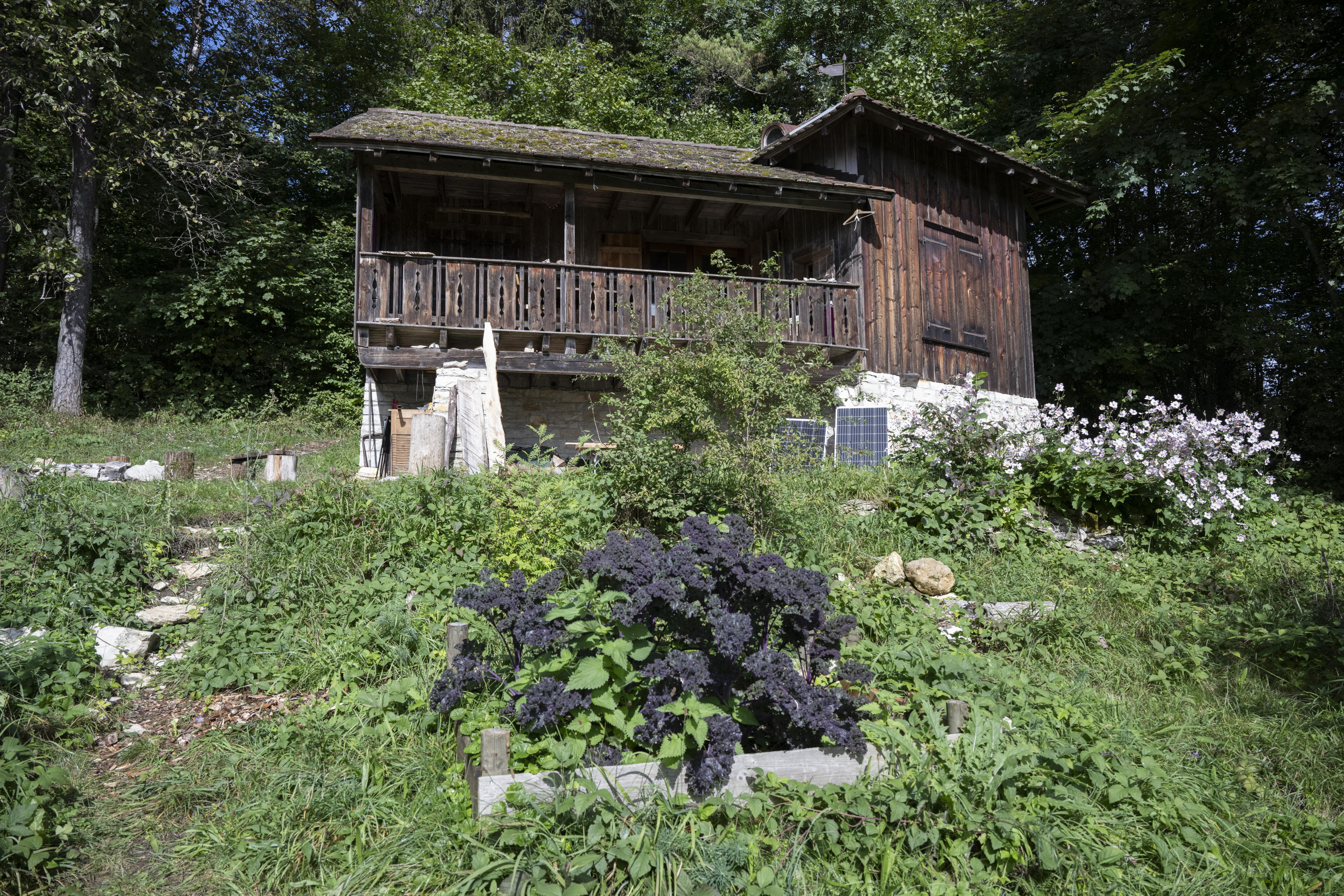 Suiza: varios detenidos por el uso de una “cápsula” de asistencia al suicidio