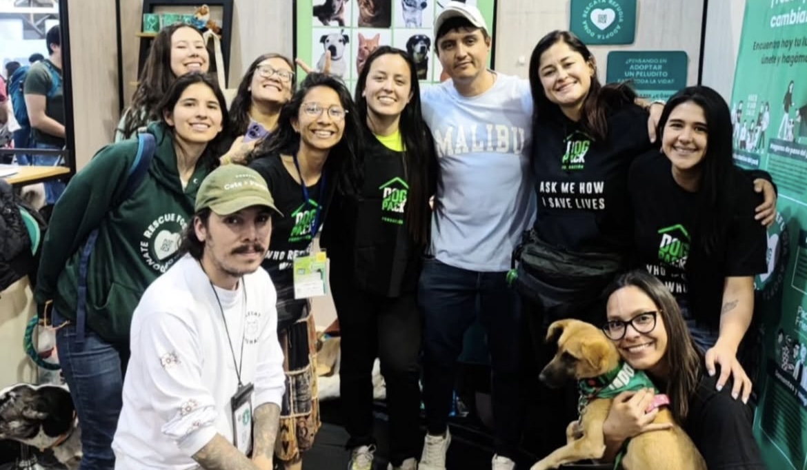 Así trabaja DogPack para rescatar, esterilizar y dar en adopción responsable