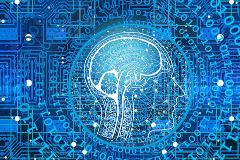 El cerebro humano procesa información más lento que una típica conexión de Wi-Fi