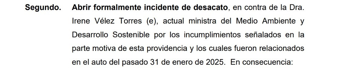 El tribunal le dio cinco días hábiles a la ministra para que entregue un informe detallado de las acciones que realizará para el cumplimiento de la delimitación del páramo.