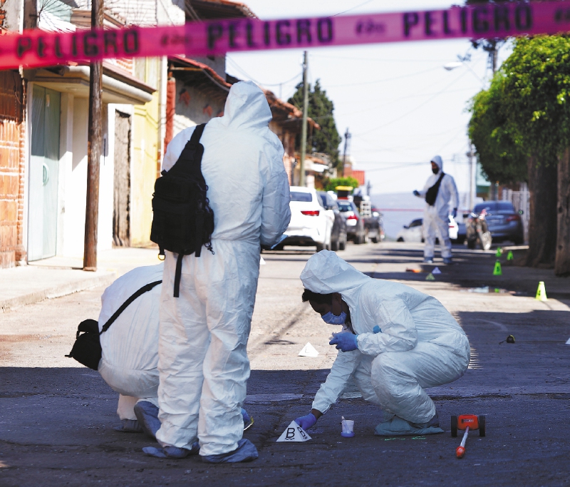 Macabra escena en Zacatecas (México): perro pasea con una cabeza humana, ¿qué pasó?