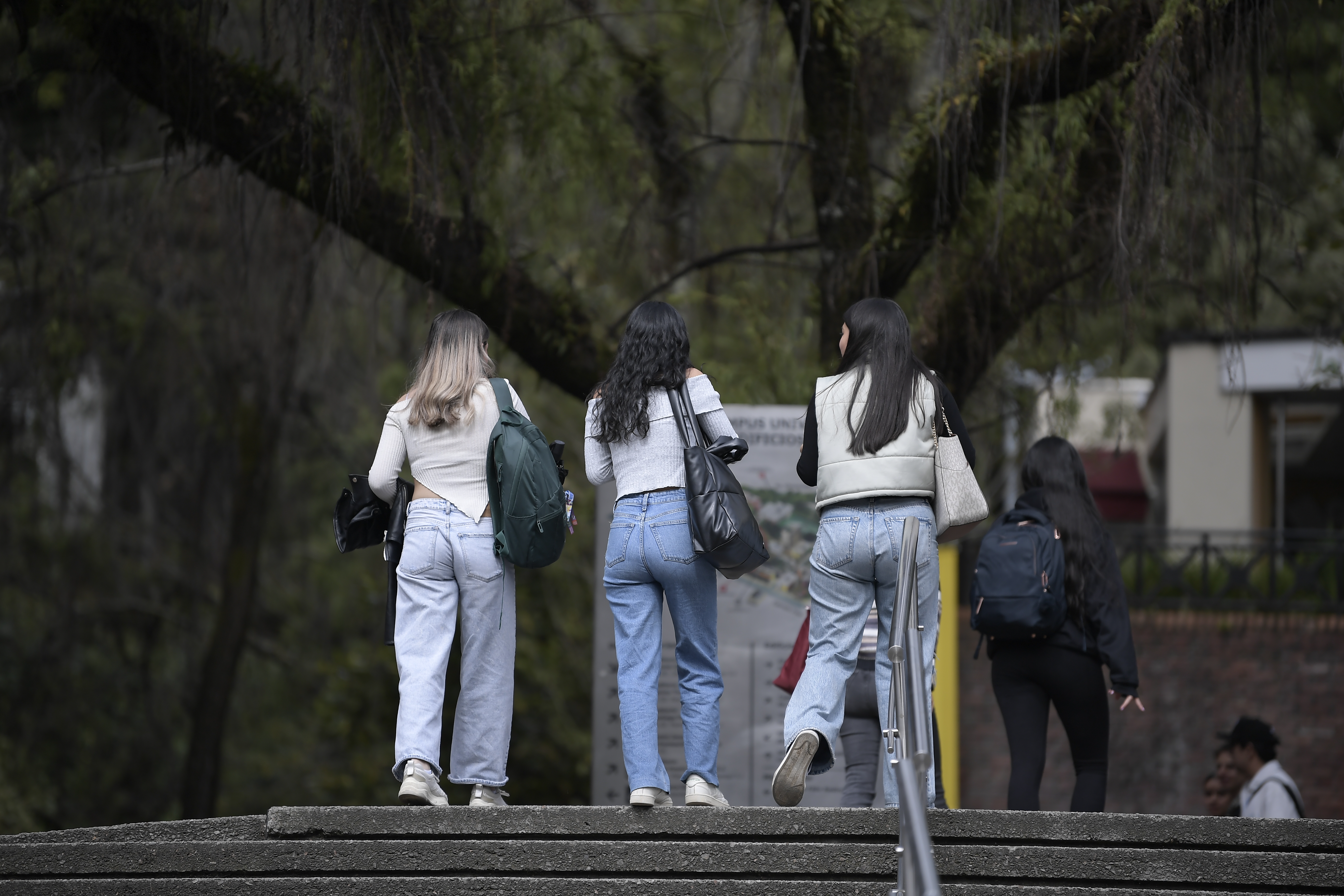 ¿Quiere estudiar una maestría? La Universidad Pública de Navarra tiene nuevas becas