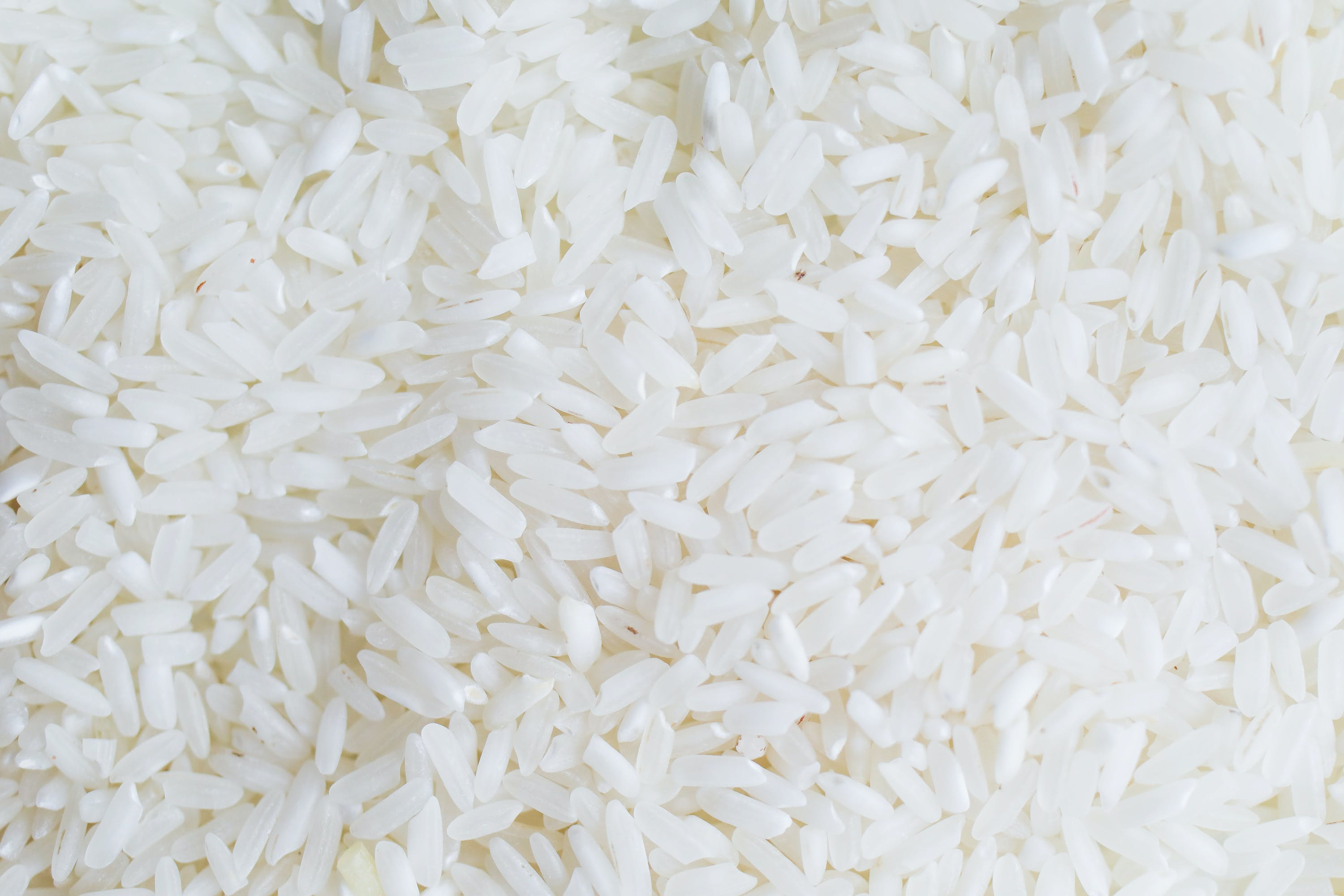 Arroz