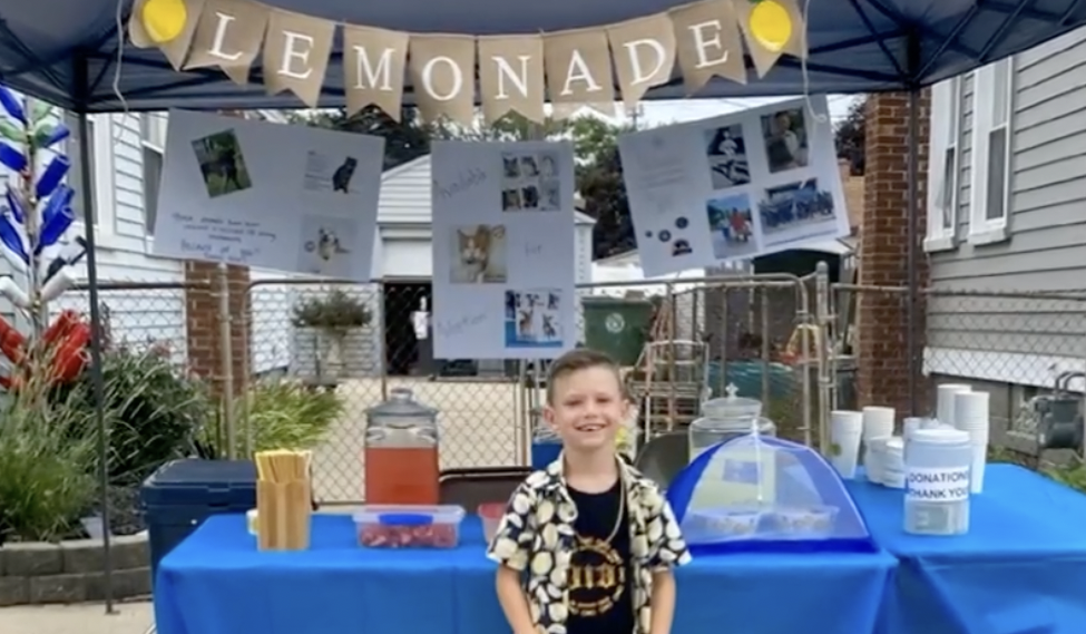 Niño vende limonadas para ayudar a mascotas abandonadas: recaudó 15.000 USD