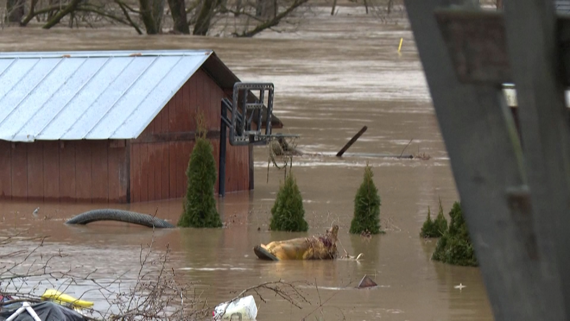 Las tormentas invernales en Estados Unidos dejan más de una decena de muertos