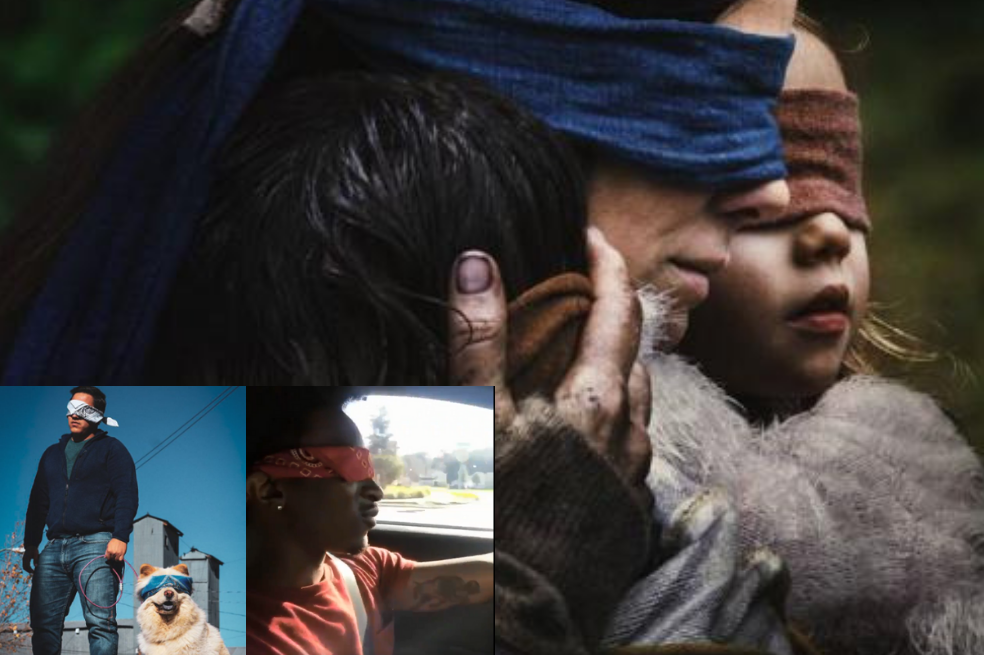 Netflix le pide a sus usuarios no realizar el peligroso reto basado en la película ‘Bird Box’