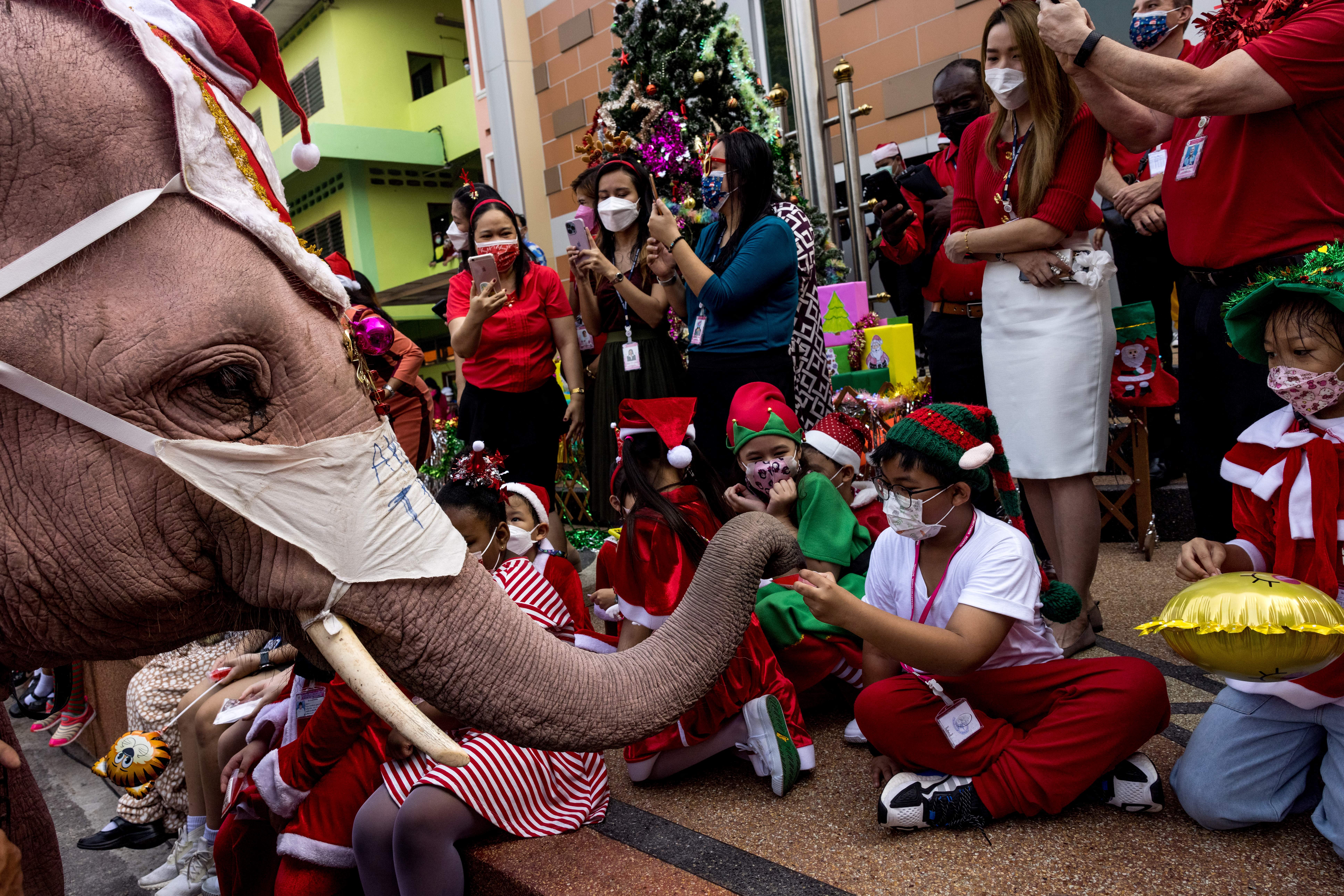 Tailandia: Un elefante reparte regalos a los niños durante las celebraciones navideñas en la escuela Jirasart Witthaya en Ayutthaya el 24 de diciembre de 2021.