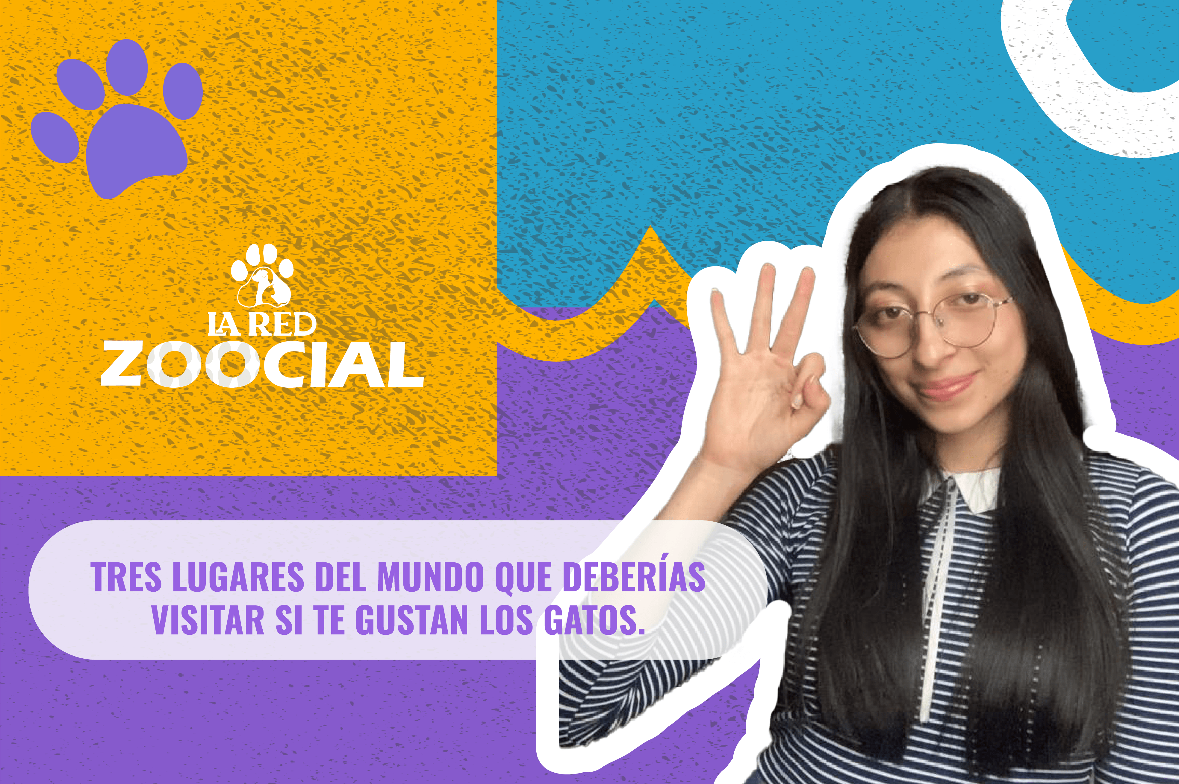 Tres lugares del mundo que deberías visitar si te gustan los gatos