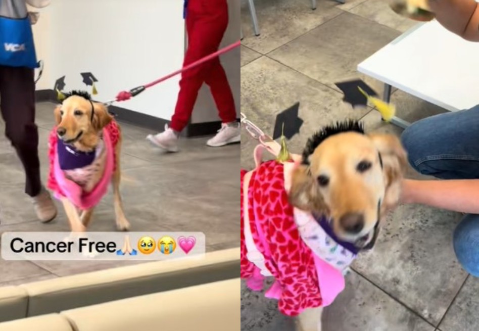 En video: Eli celebra tras completar su tratamiento y superar el cáncer de mama