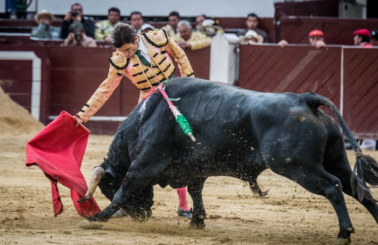 Tarde de lidiadores en La Santamaría