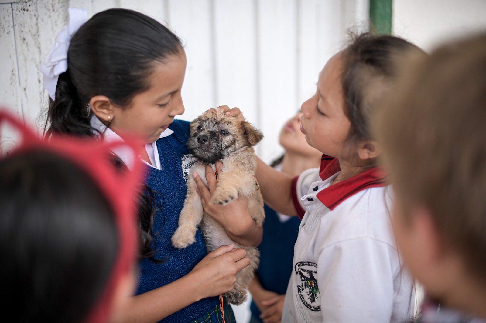 La escuela sigue la metodología "Escuela Nueva" con seis grados en un mismo salón: cuatro alumnos están en preescolar, cuatro en primero, uno en segundo, tres en tercero, dos en cuarto y tres en quinto. La profesora Claudia se encarga de todos los cursos y del seguimiento de cada uno de los niños. La huerta escolar aplica el método de Aprendizaje Basado en Proyectos (ABP).