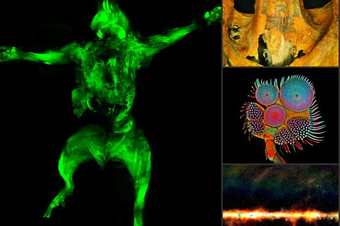 La ciencia del 2016 en imágenes
