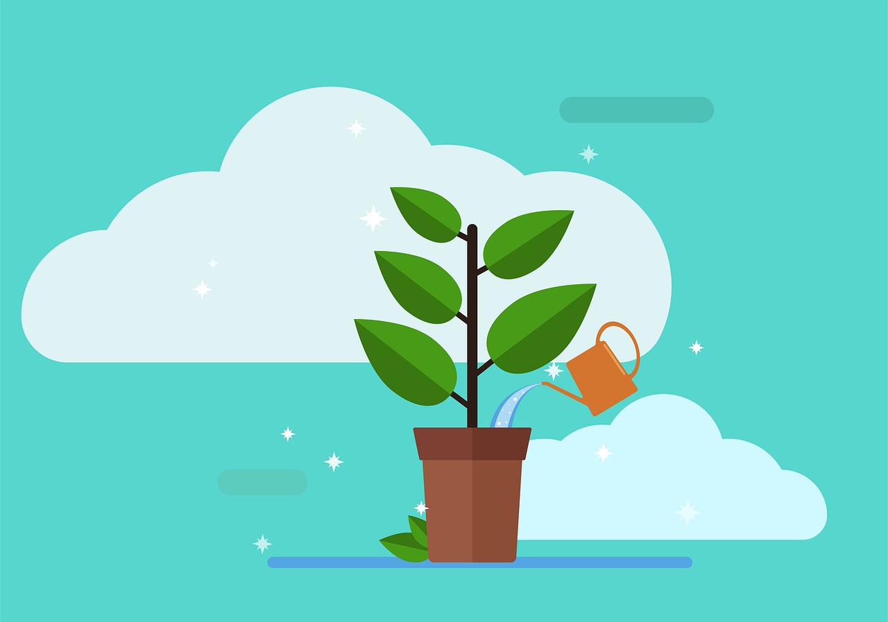¿Cuánto tiempo puede durar una planta sin recibir agua?