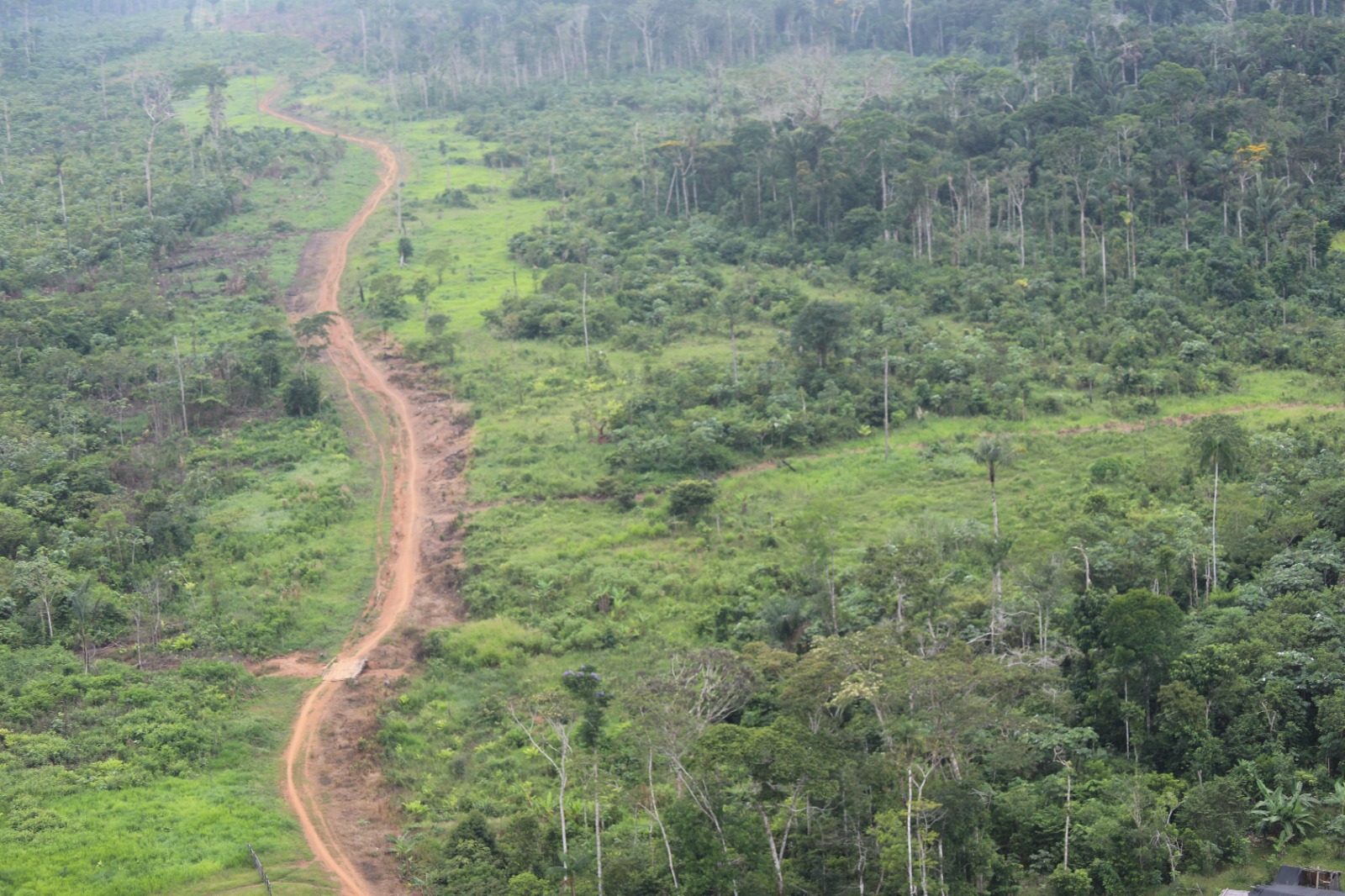 Fiscalía y Policía adelantaron operativo en Chiribiquete para frenar deforestación