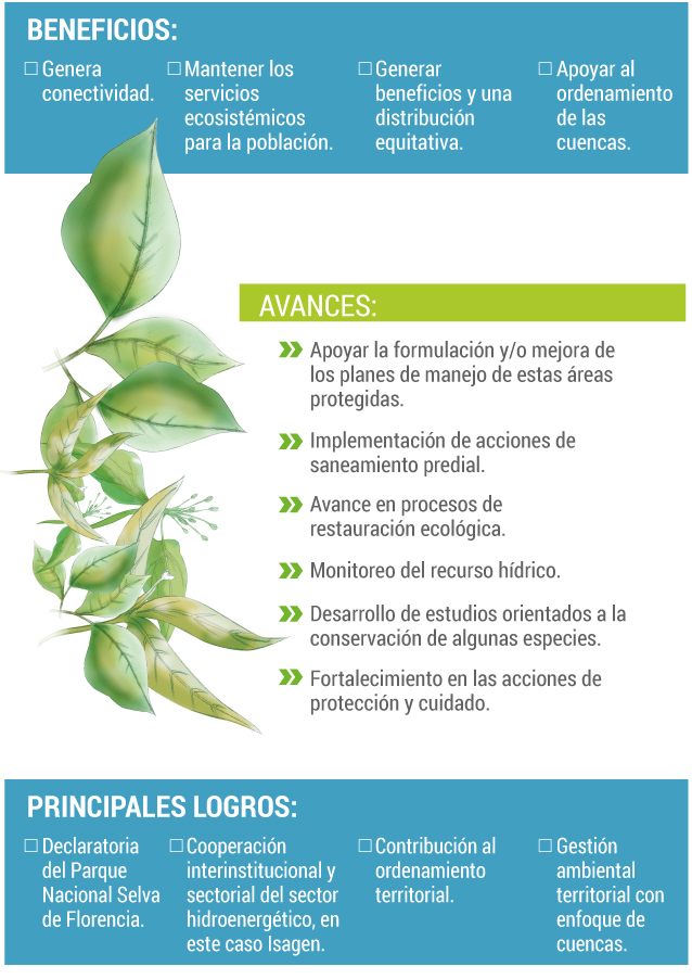 Los beneficios del proyecto.