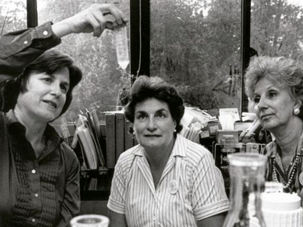 Gracias a la insistencia de las abuelas, un grupo de científicos, liderados por la genetista Mary Claire King a mediados de 1980, logró la formulación de un índice de abuelidad.