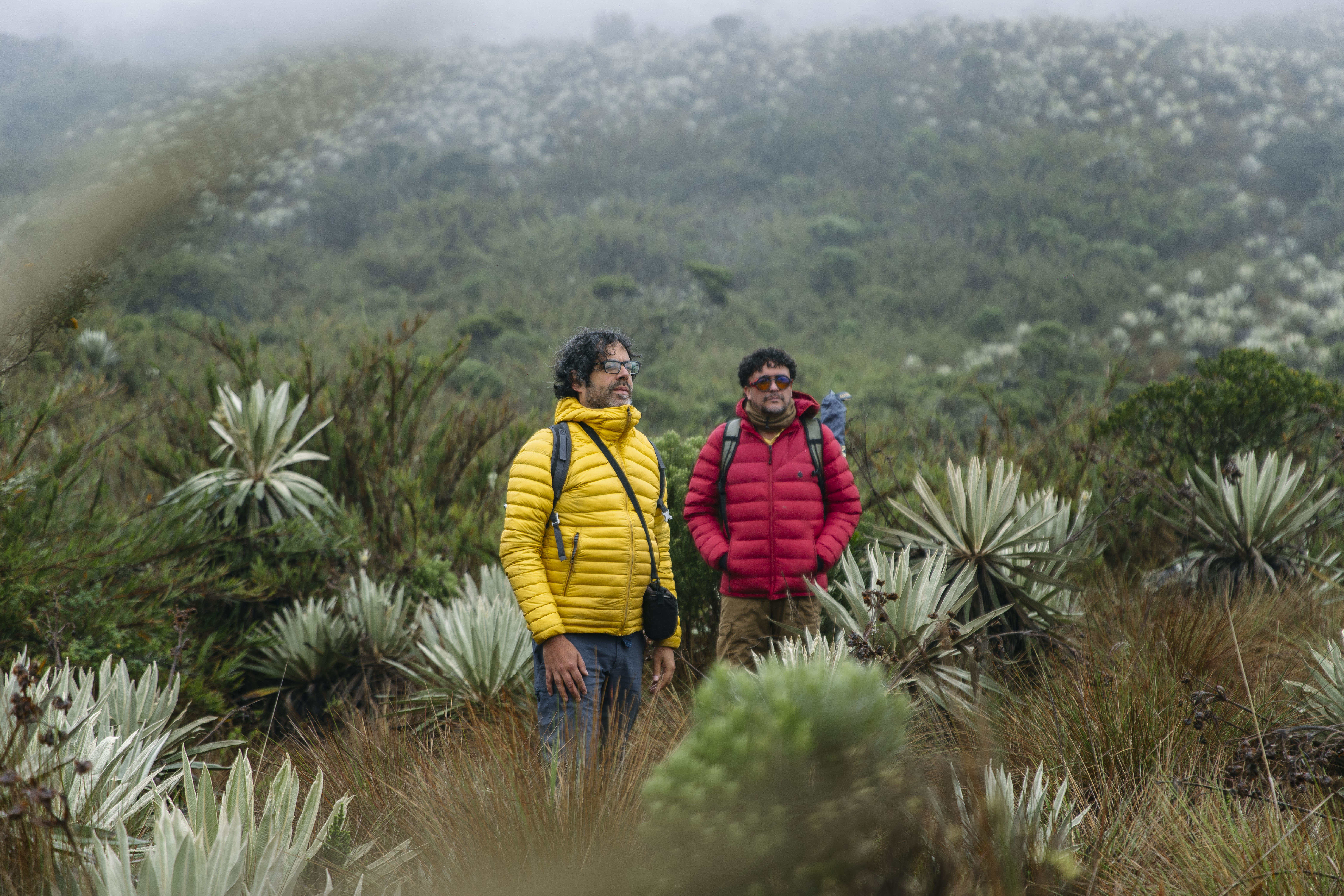 Antes de la nieve, un recorrido por los páramos de Colombia en busca de su conservación