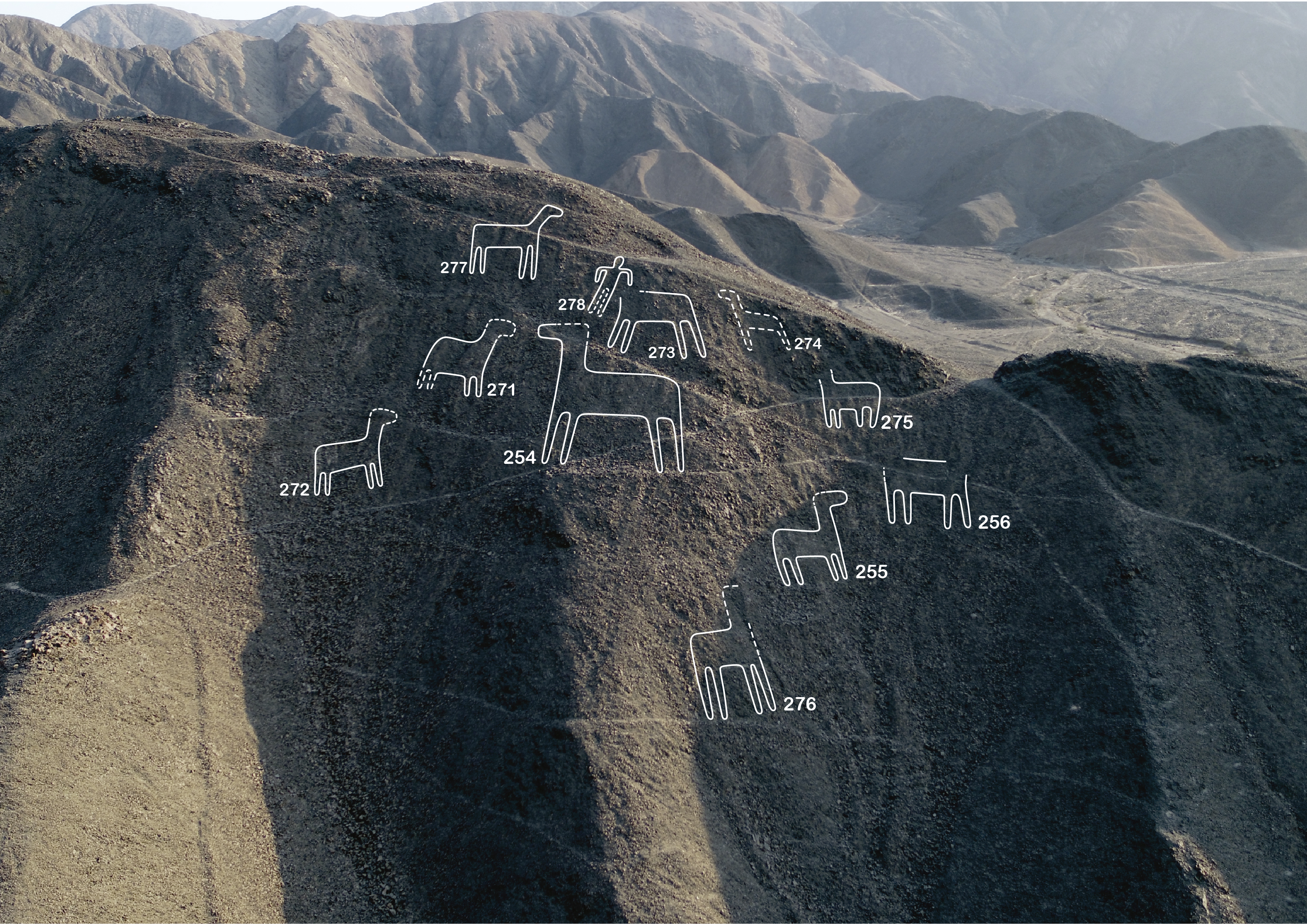 La inteligencia artificial permitió identificar 303 geoglifos en Perú